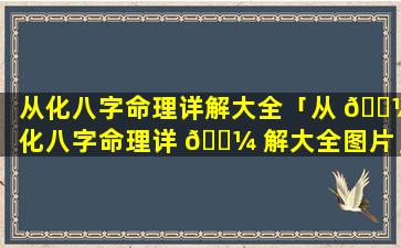 从化八字命理详解大全「从 🐼 化八字命理详 🐼 解大全图片」